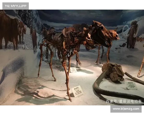 探索恐怖祖先历史真相的途径与方法解析 探索恐怖祖先历史真相的途径与方法解析